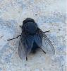 216045 – Photo : chrisoneye – France (11)