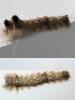 217588 – Photo : Didier Levasseur – Thaïlande