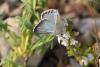 217418 – Photo : clovis – France (84)
