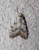 217490 – Photo : alain Roujas – France (31)