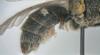 218846 – Photo : patrick derennes – France (94)