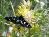 218746 – Photo : Lionel Casset – Grèce