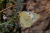 218104 – Photo : Johan Verstraeten – Espagne