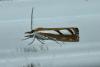 218011 – Photo : Thierry Madigou – Canada