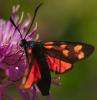 218383 – Photo : Karine Poitrineau – France (73)