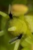 218748 – Photo : Olivier Pouvreau – France (86)