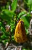 218488 – Photo : Emmanuelle Champion – France (09)