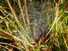 218800 – Photo : Catherine Reymonet-Smitten – France (19)