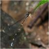 218633 – Photo : Benoit Guillon – Vietnam