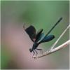 218613 – Photo : Benoit Guillon – Vietnam