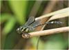 218405 – Photo : Benoit Guillon – Vietnam