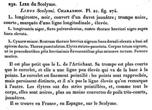 Indéterminé