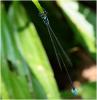 219508 – Photo : Benoit Guillon – Vietnam