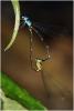 219753 – Photo : Benoit Guillon – Vietnam