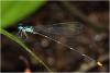 219751 – Photo : Benoit Guillon – Vietnam