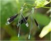219045 – Photo : Benoit Guillon – Vietnam
