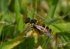 22544 – Photo : jean-claude bernard – France (29)