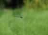22681 – Photo : Antoine Guibentif – France (74)