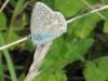 22148 – Photo : deedee – France (54)