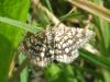 22748 – Photo : deedee – France (54)