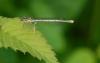 22768 – Photo : Apick – France (22)
