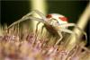 22023 – Photo : Daniel Pollen – Suisse