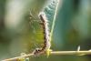 220246 – Photo : Pierre Duhem – Pologne
