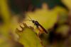 220451 – Photo : Pierre Duhem – France (75)