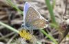 220824 – Photo : Michel Mathieu – France (30)