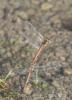 220615 – Photo : pierre juliand – France (07)