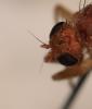 220603 – Photo : clovis – France (44)
