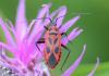 220829 – Photo : alain Roujas – France (31)