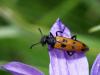 220219 – Photo : Lionel Casset – Grèce