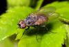 220808 – Photo : Christophe Quintin – France (21)