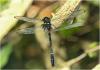 220510 – Photo : Benoit Guillon – Vietnam