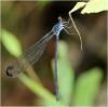 220226 – Photo : Benoit Guillon – Vietnam