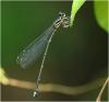 220632 – Photo : Benoit Guillon – Vietnam