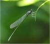 220631 – Photo : Benoit Guillon – Vietnam