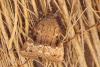 220140 – Photo : Jessica Joachim – France (09)