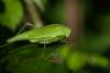 220803 – Photo : Jessica Joachim – France (09)