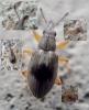 221019 – Photo : Bernard Ginesy – France (13)