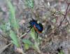 221485 – Photo : Stella MOREL – France (84)