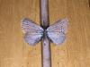 221033 – Photo : Limenitis78 – France (04)
