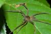221468 – Photo : D. Martinez – Philippines