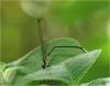 221181 – Photo : Benoit Guillon – Vietnam