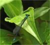 221178 – Photo : Benoit Guillon – Vietnam
