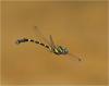 221365 – Photo : Benoit Guillon – Vietnam