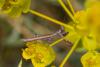 222399 – Photo : Johan Verstraeten – Espagne