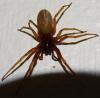 222504 – Photo : Emmanuel Le Roy – France (51)