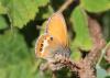 222444 – Photo : alain Roujas – France (31)